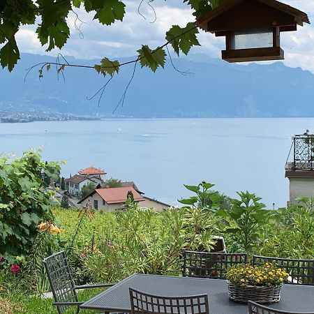 Apartament La Gremillette Gourmande Lavaux Rivaz Zewnętrze zdjęcie