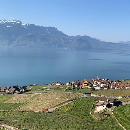 Apartament La Gremillette Gourmande Lavaux Rivaz Zewnętrze zdjęcie