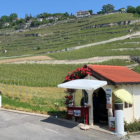 Apartament La Gremillette Gourmande Lavaux Rivaz Zewnętrze zdjęcie