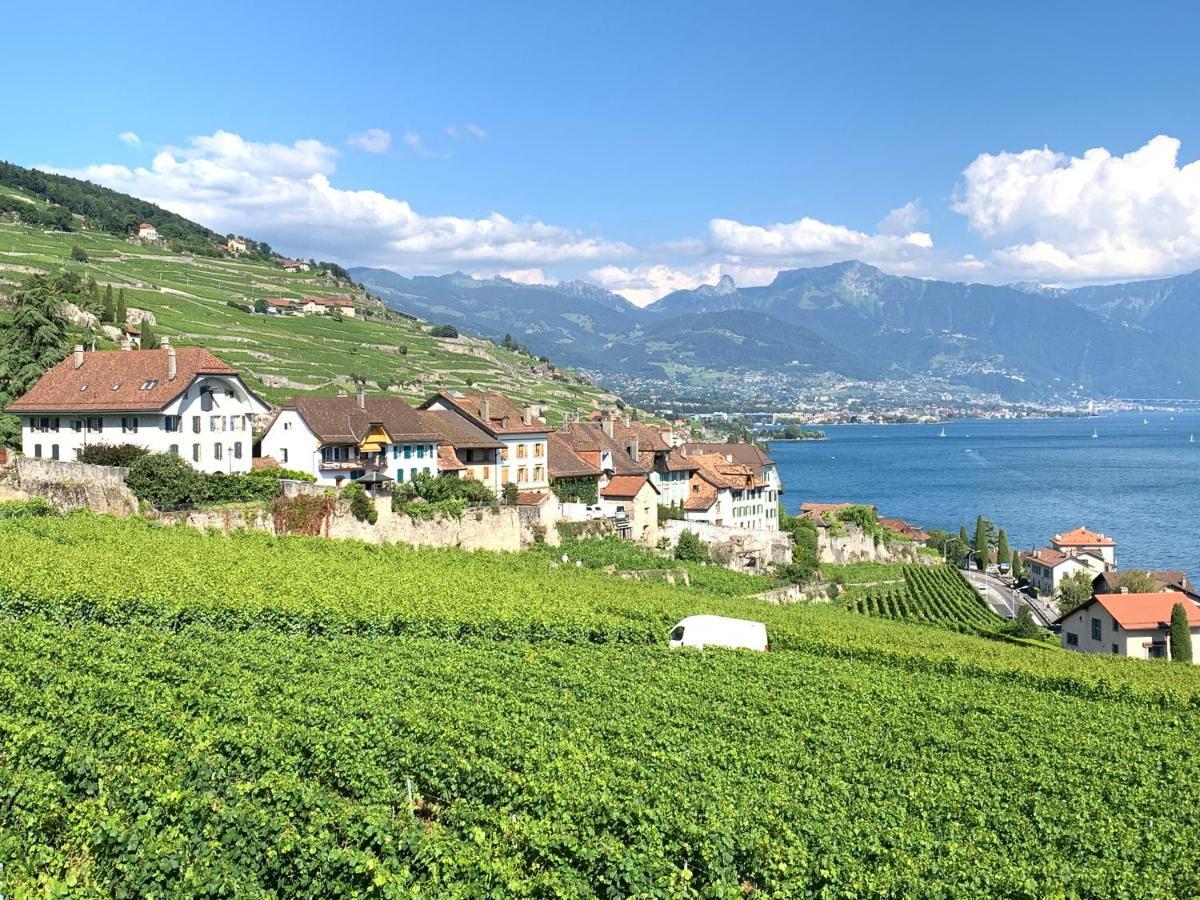 Apartament La Gremillette Gourmande Lavaux Rivaz Zewnętrze zdjęcie