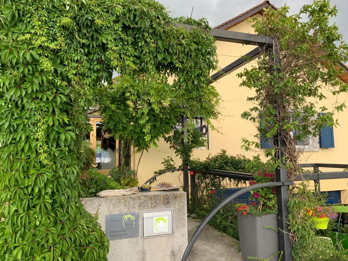 Apartament La Gremillette Gourmande Lavaux Rivaz Zewnętrze zdjęcie
