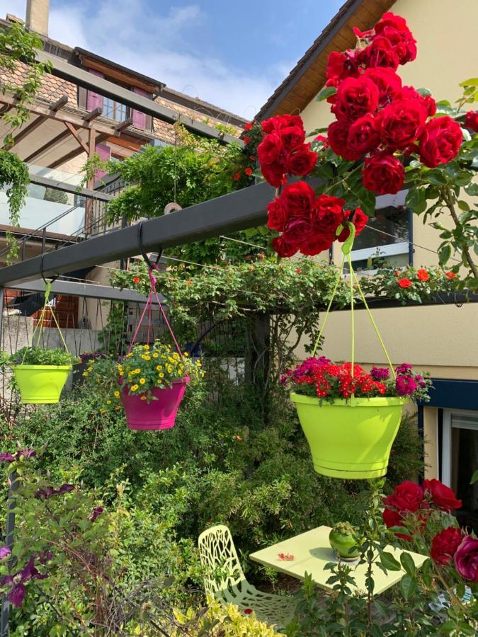 Apartament La Gremillette Gourmande Lavaux Rivaz Zewnętrze zdjęcie