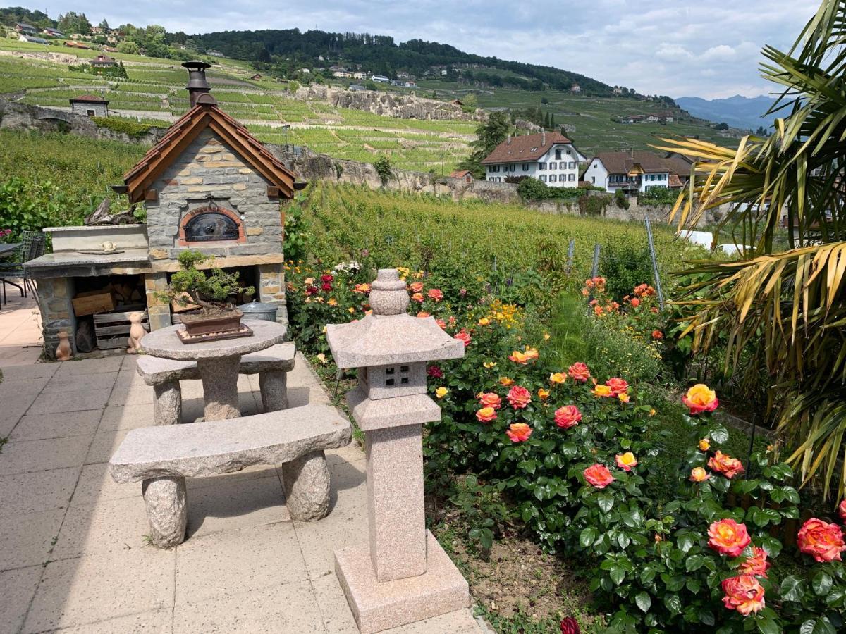 Apartament La Gremillette Gourmande Lavaux Rivaz Zewnętrze zdjęcie