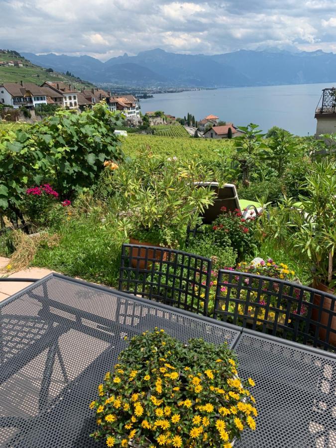 Apartament La Gremillette Gourmande Lavaux Rivaz Zewnętrze zdjęcie