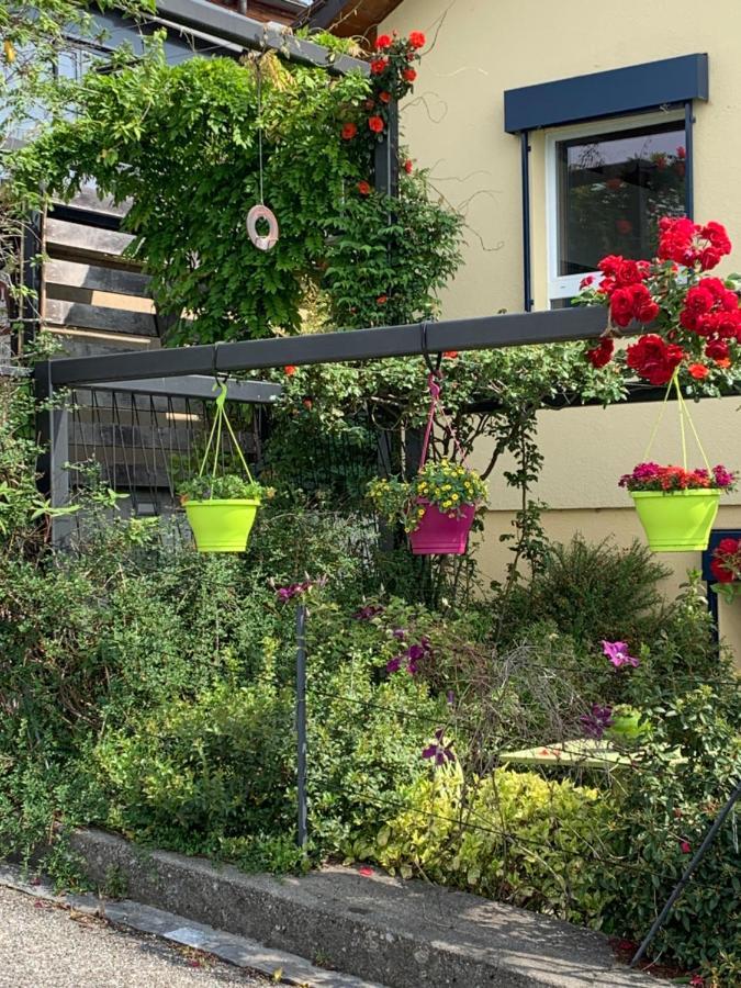 Apartament La Gremillette Gourmande Lavaux Rivaz Zewnętrze zdjęcie
