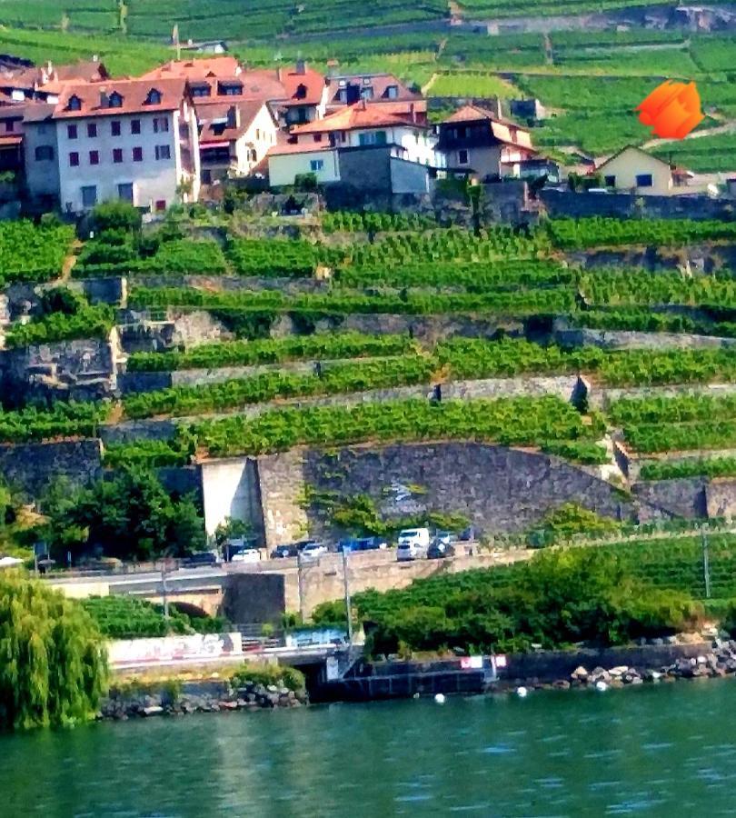 Apartament La Gremillette Gourmande Lavaux Rivaz Zewnętrze zdjęcie