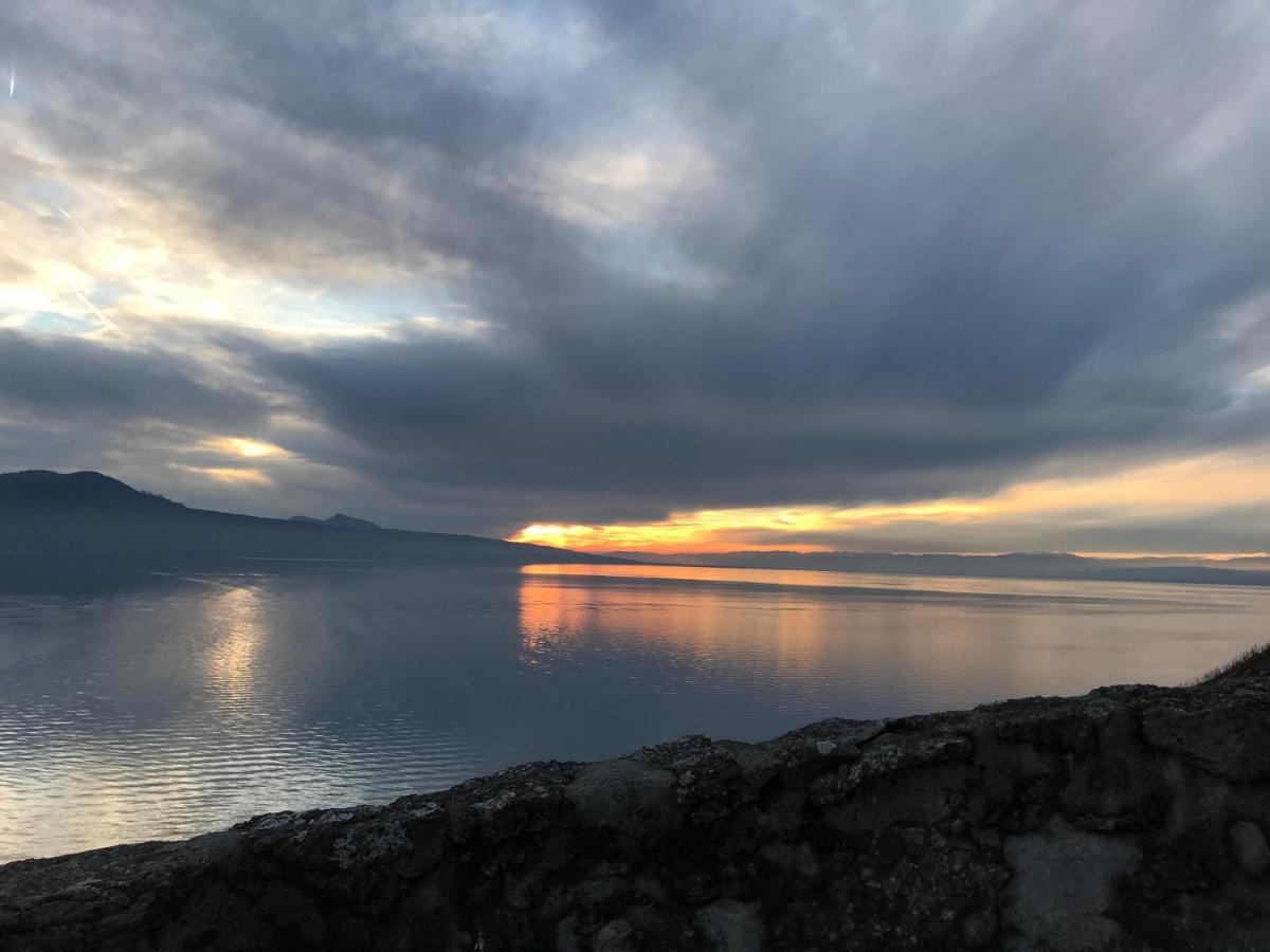 Apartament La Gremillette Gourmande Lavaux Rivaz Zewnętrze zdjęcie