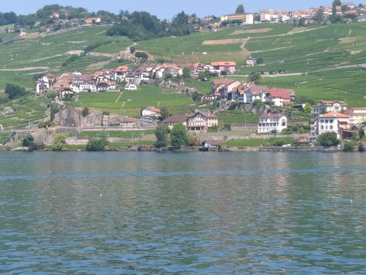 Apartament La Gremillette Gourmande Lavaux Rivaz Zewnętrze zdjęcie