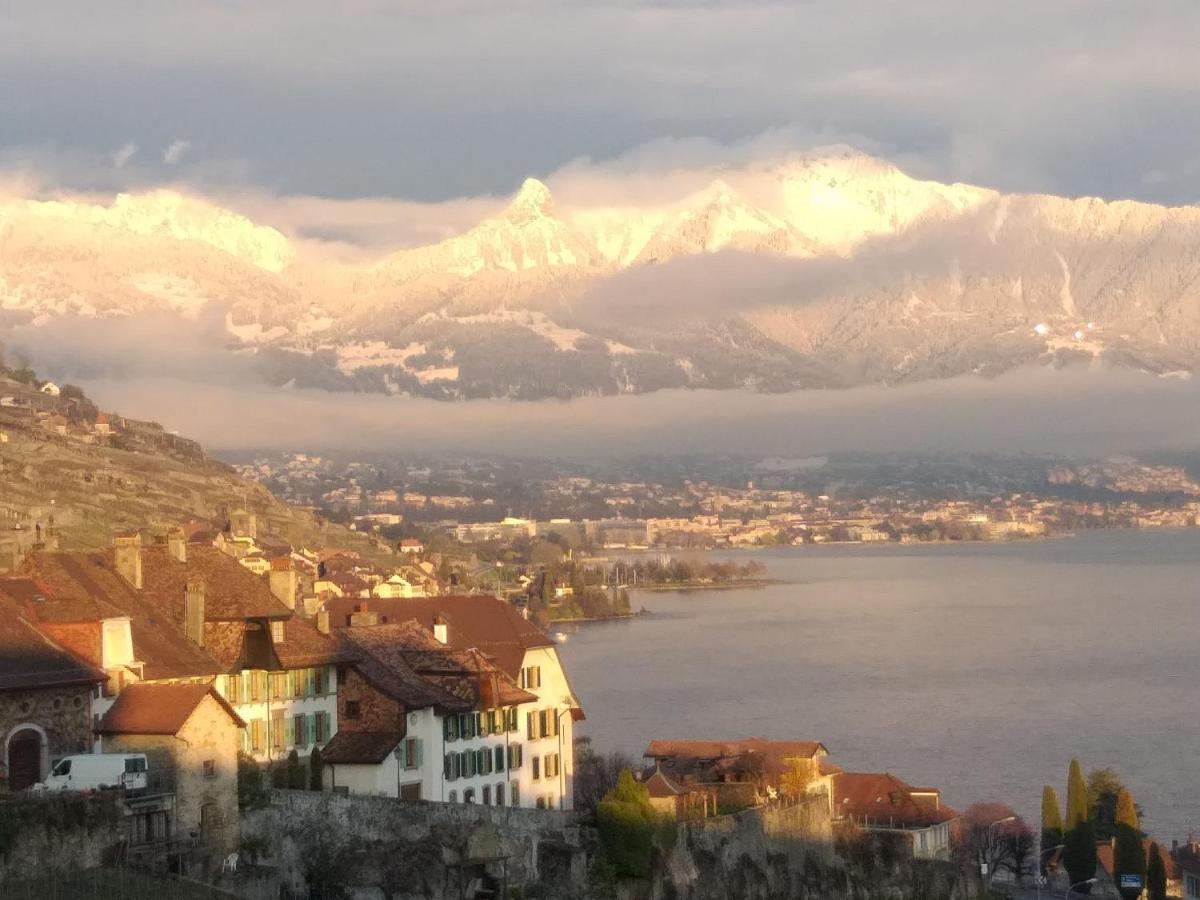 Apartament La Gremillette Gourmande Lavaux Rivaz Zewnętrze zdjęcie