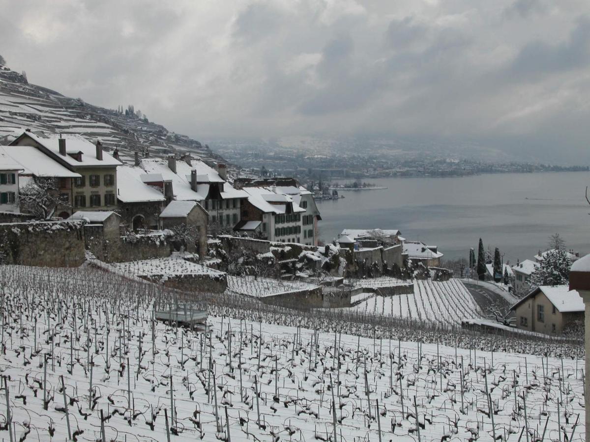 Apartament La Gremillette Gourmande Lavaux Rivaz Zewnętrze zdjęcie