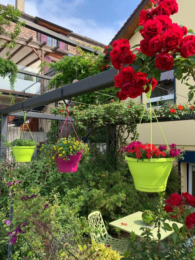 Apartament La Gremillette Gourmande Lavaux Rivaz Zewnętrze zdjęcie